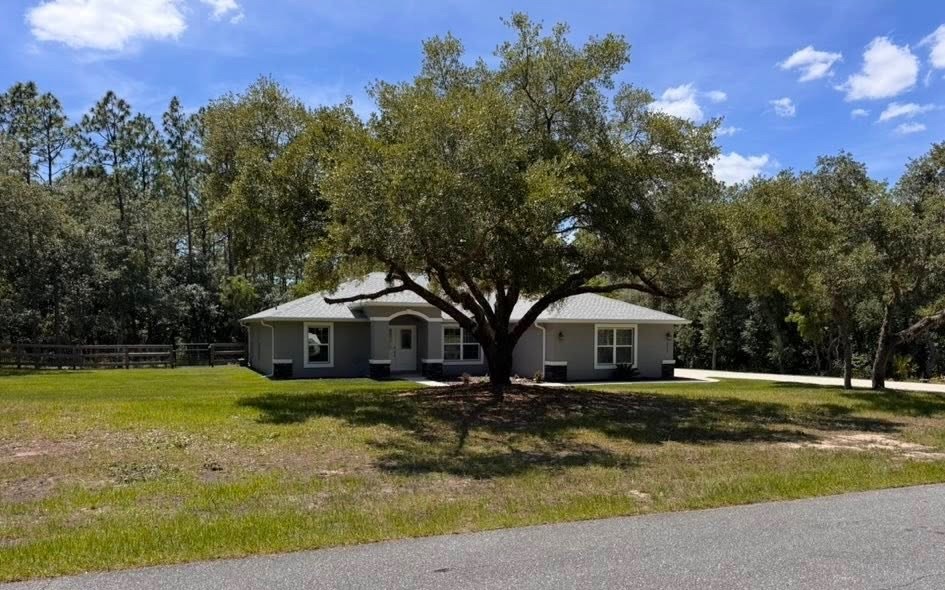 A cleared Citrus County lot with a mature oak preserved